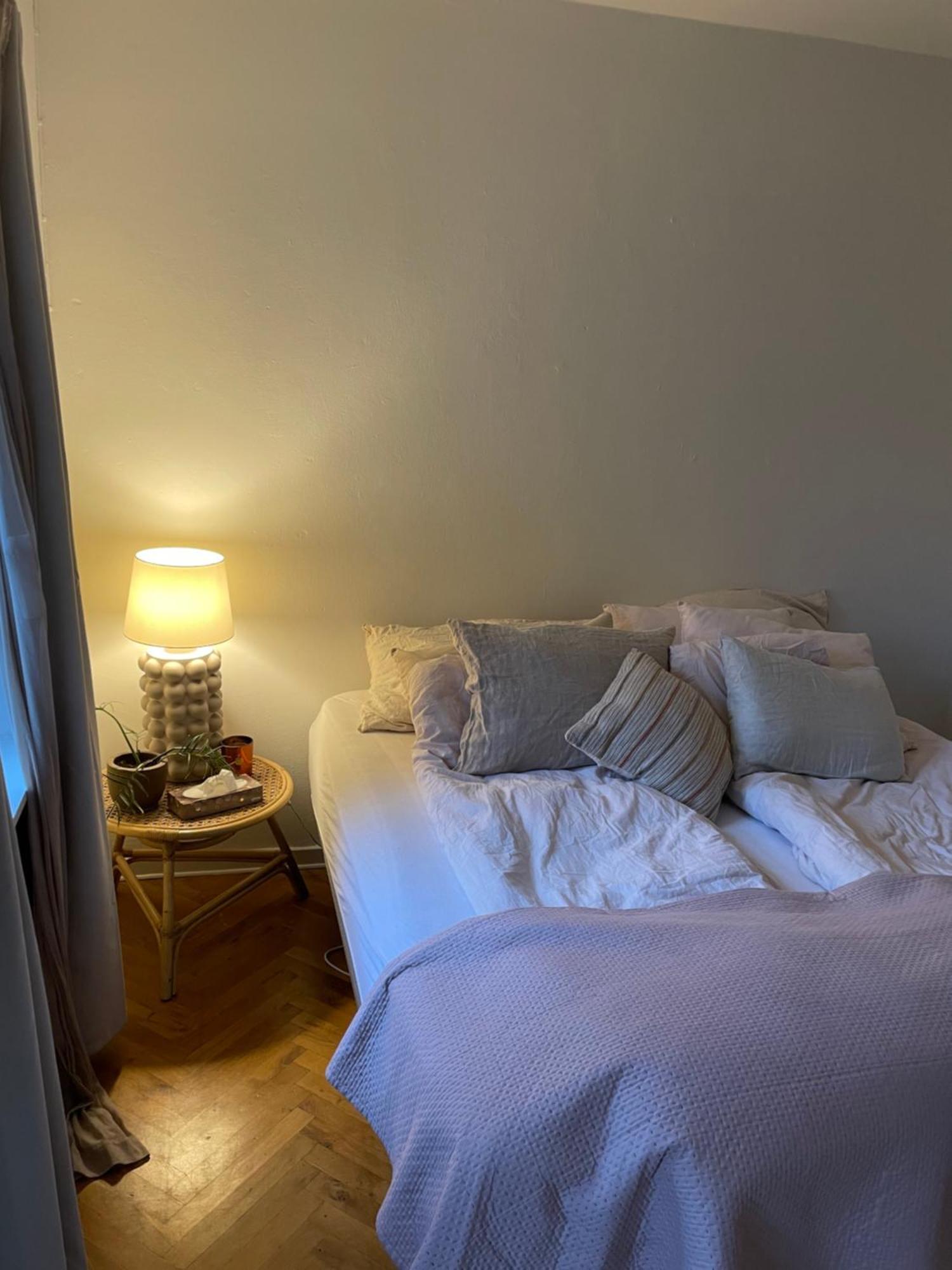 Central Lejlighed Med Udsigt Til Parken Odense Esterno foto